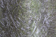 West Pontnewydd fibreglass roof work